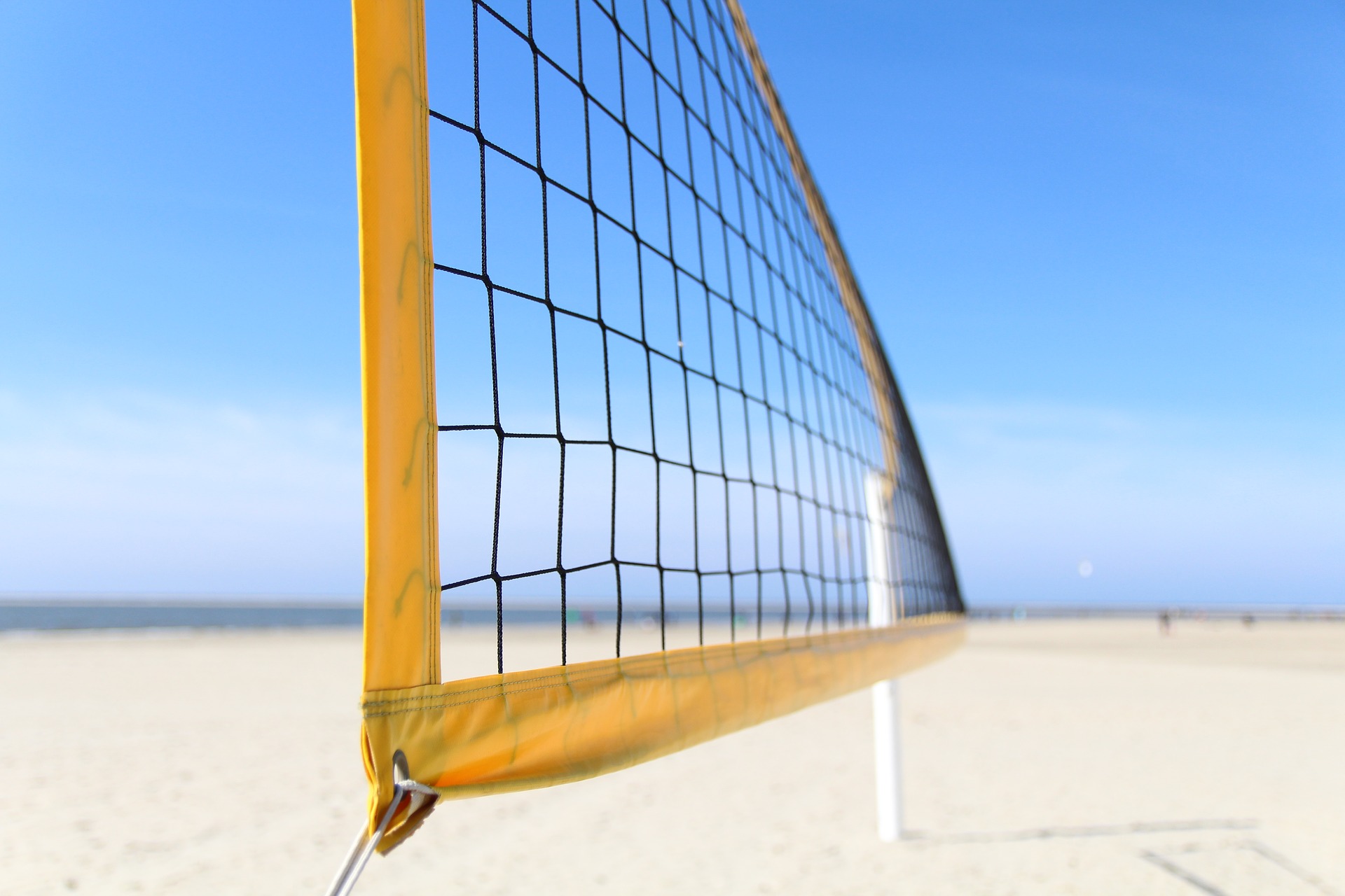 Voleybol Filesi